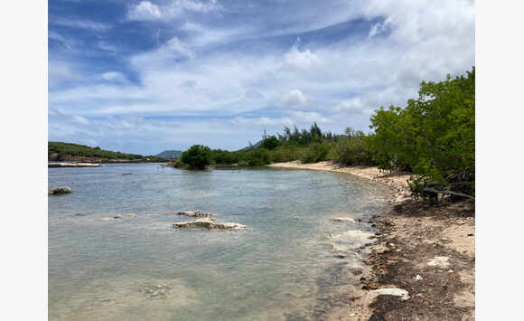 Terrain cote Baie Rouge Terres Basses