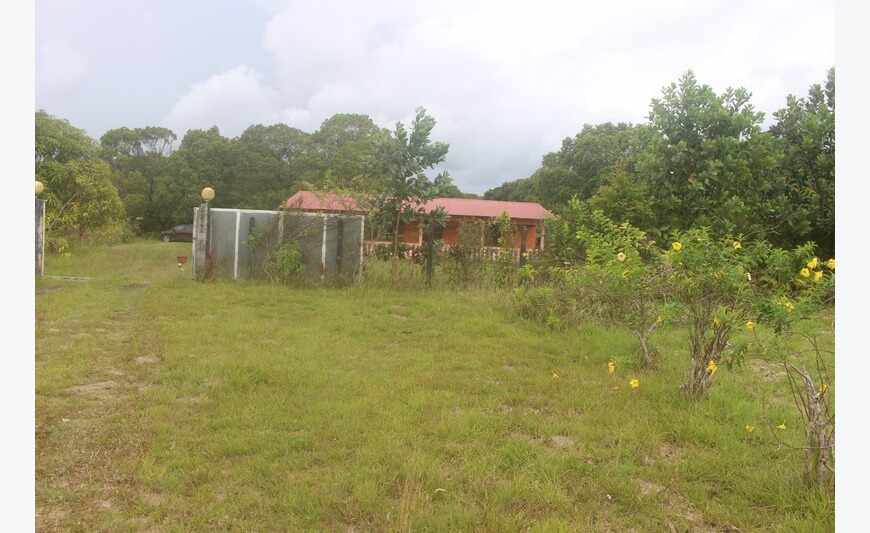 Macouria propriete P4 - terrain 23 482m²