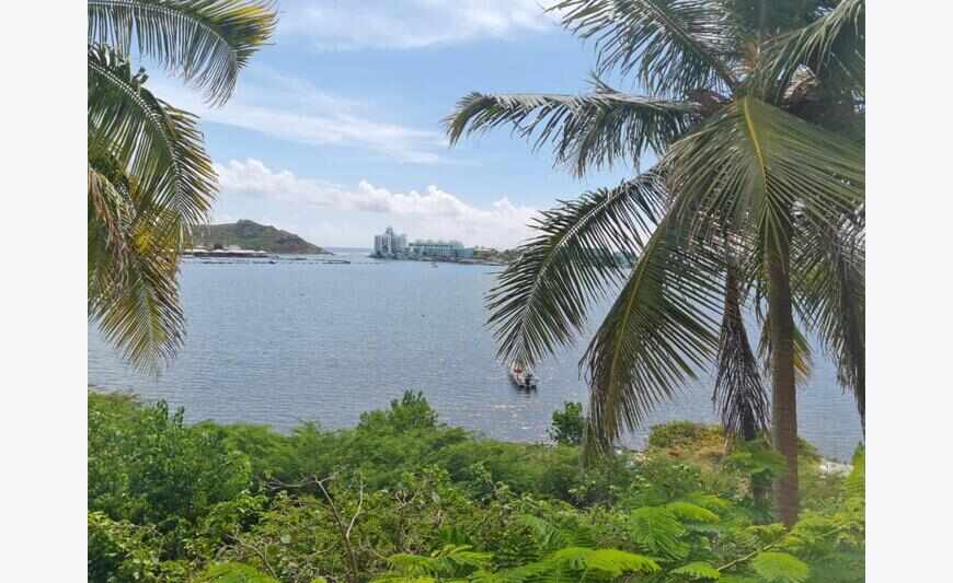 Sous promesse de ...Oyster Pond...Vue lagon magnifique