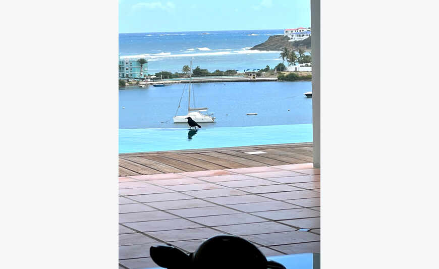 Villa de prestige .