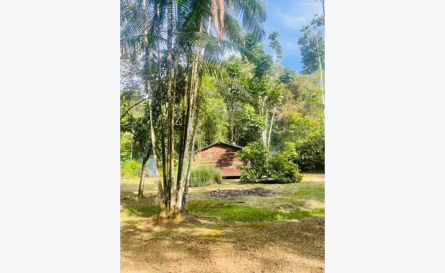 Dpt (973), sur Matoury 2 maison en bois