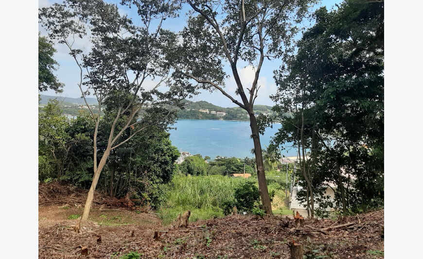 Terrain La Trinite 2634 m2 Vue D'Exception-Baie De Trinite A