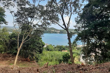 Terrain La Trinite 2634 m2 Vue D'Exception-Baie De Trinite A