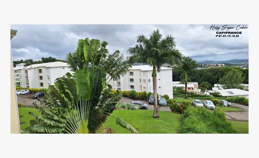 - Appartement T2 lumineux avec balcon et vue semi-dégagée -