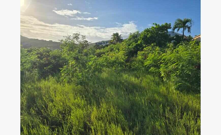 Terrain Situation Attractive Pour Residents Ou Investisseurs