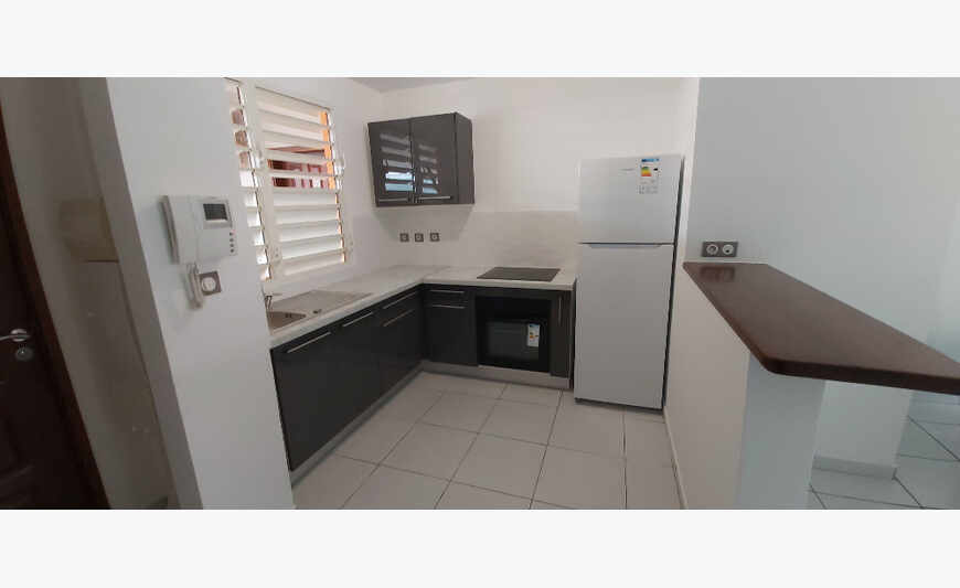 Spacieux et lumineux appartement T2 de 52 m2