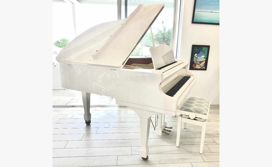 Johannes Seiler Piano de cauda