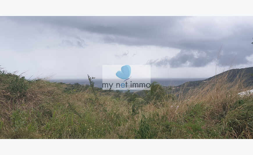 Terrain plat vue mer