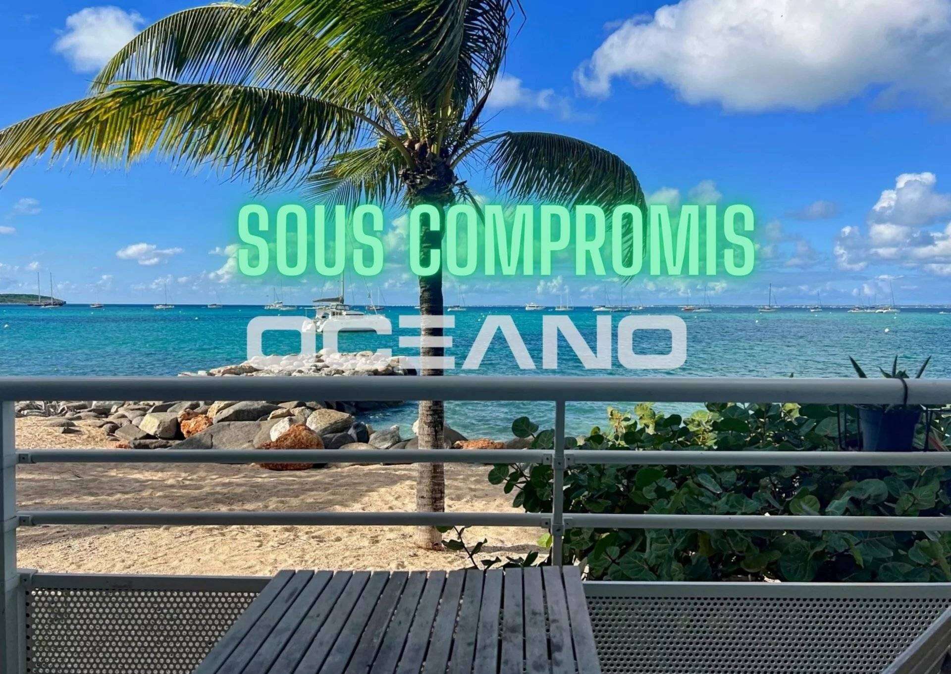 Sous Compromis - Studio sur la plage