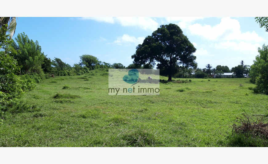 Sur la plage...parcelle de 365 m²