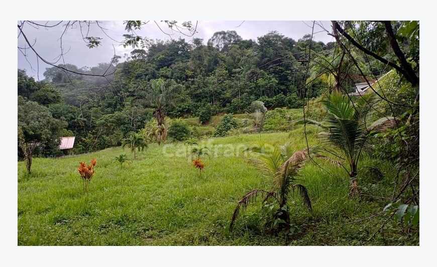 Terrain Constructible de 11 198 m² à Matoury - Chemin