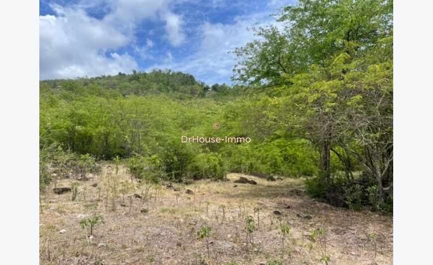 Terrain constructible vue mer 4764 m2