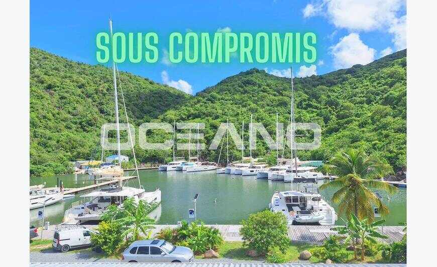 Sous Compromis - Superbe duplex T2 à Anse Marcel
