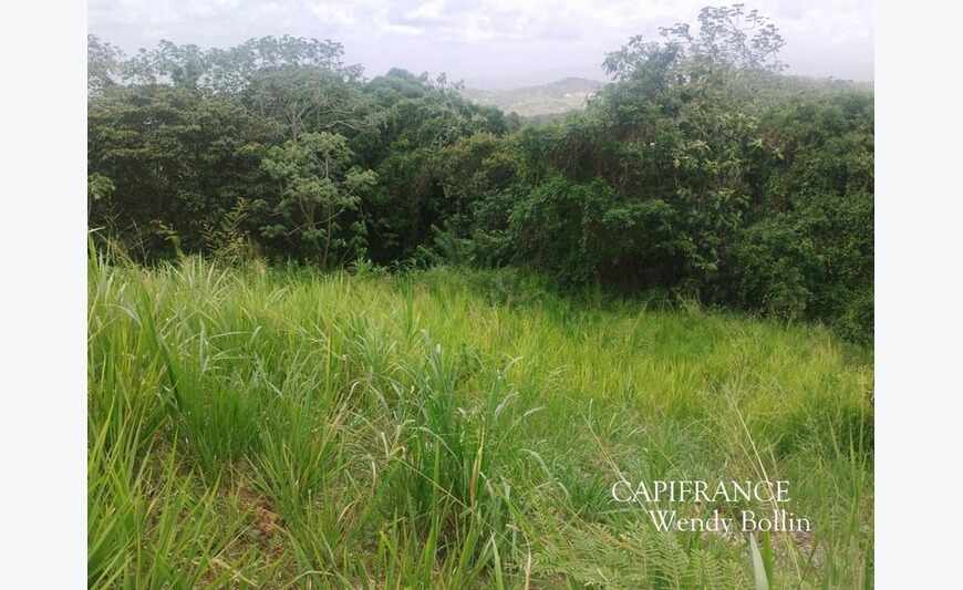 Riviere Salee terrain