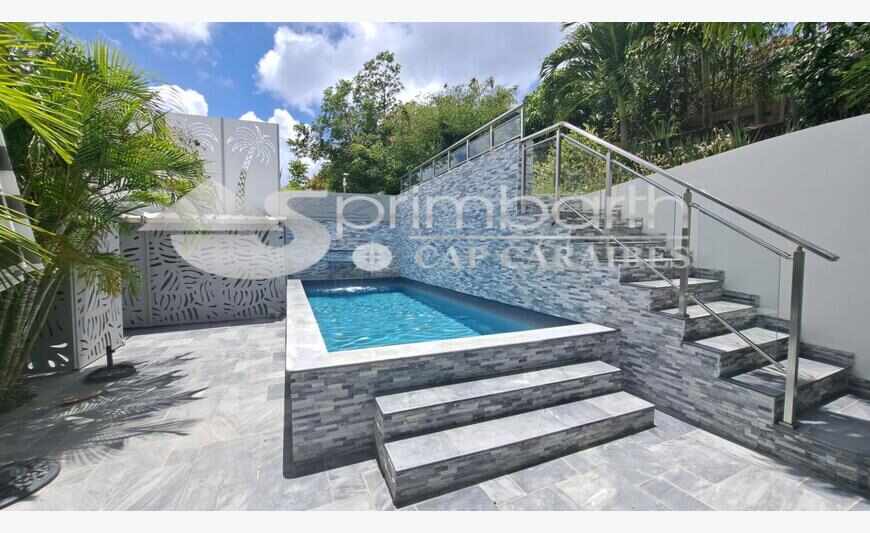 Maison 3 Chb piscine + 3 Apt