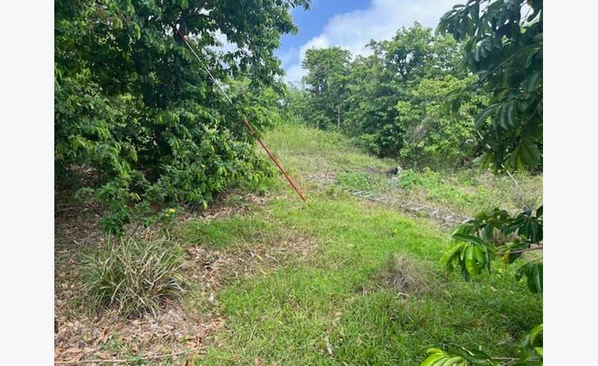 Le Robert terrain - Terrain de 960,00 m²