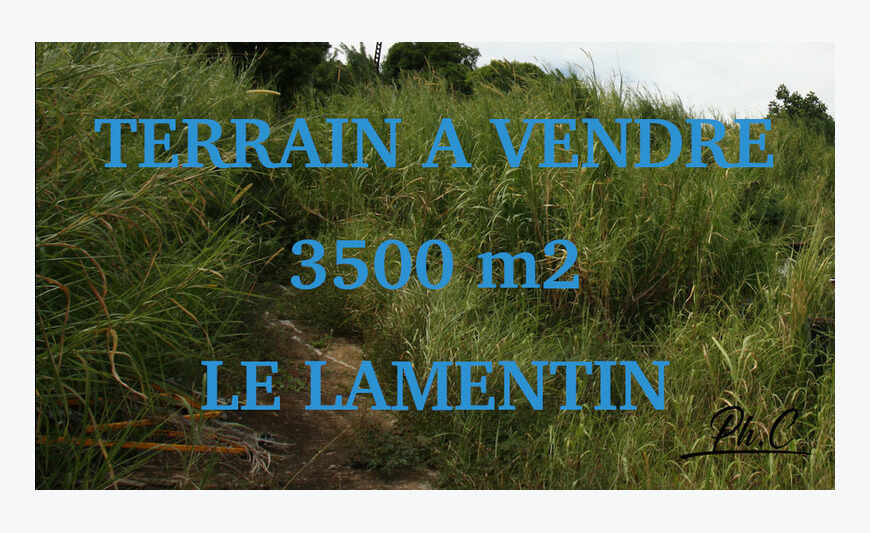 Terrain 3 500 m² Le Lamentin (972)
