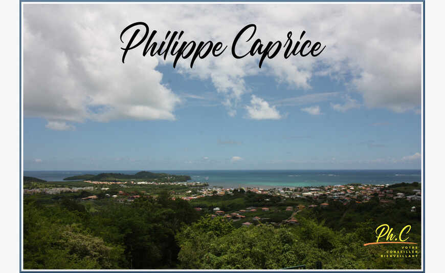 Terrain de 43 000,00 m² Le Vauclin (972)