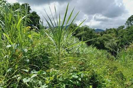 Dépt Martinique (972) Terrain Gros-Morne 5303,00 m² (509 000