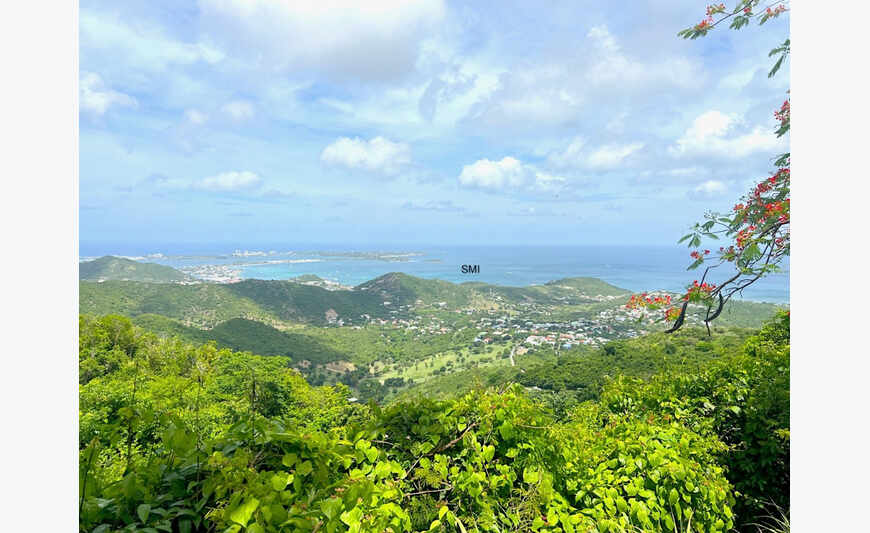 Land Pic Paradis Rare find