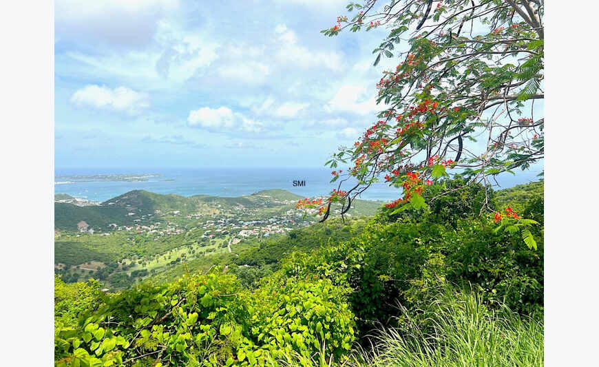 Terrain Pic Paradis