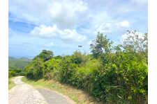 Land Pic Paradis Rare find
