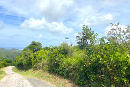 Land Pic Paradis Rare find