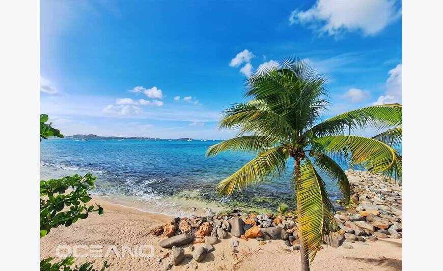 Seafront Apartment on the Beach - Marigot