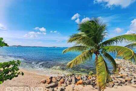 Seafront Apartment on the Beach - Marigot