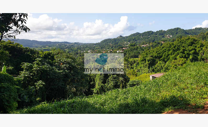 Roches carrées beau foncier 2100 m²