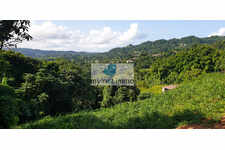 Roches carrées beau foncier 2100 m²