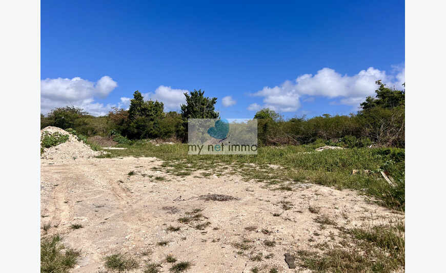 Terrain Plat Secteur La Coulee