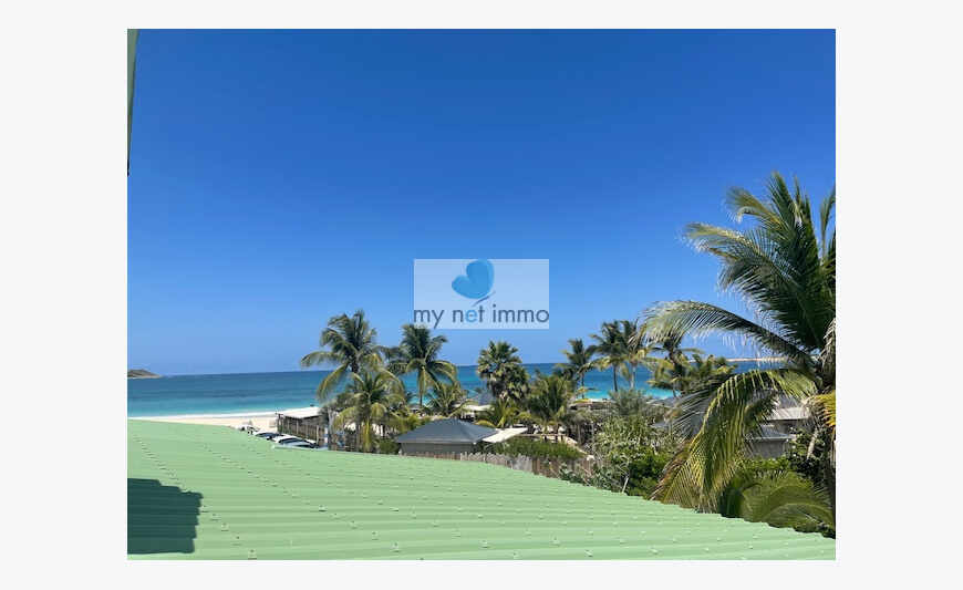 Oriental Bay 4 Br House+Garden+Sea View