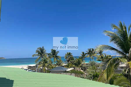 Oriental Bay 4 Br House+Garden+Sea View