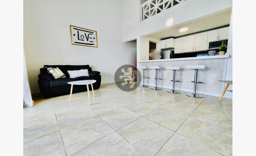 🔸1BR/1BA Loft📍Pélican Clé #121