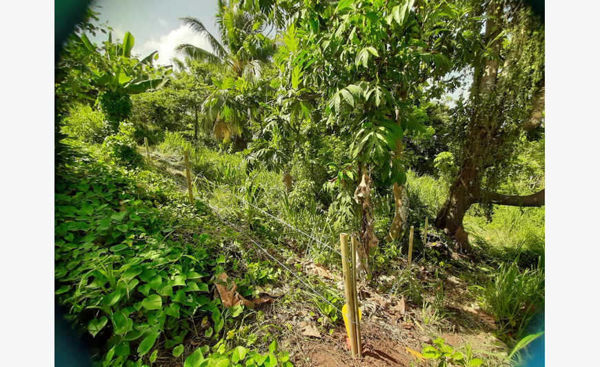 Terrain de 1082 m²