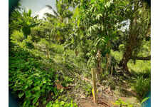Terrain de 1082 m²
