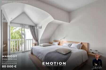 Studio 22 m2 carrez Marigot new exclusive mandate