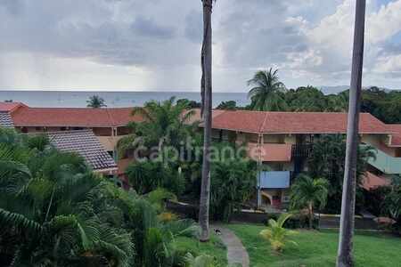Appartement Terrasse, Vue Mer, 200 Metres Des Plages. Sainte