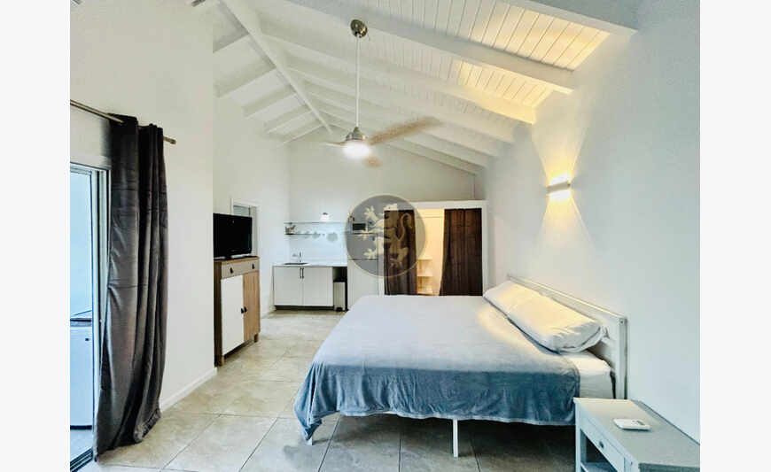 Investissement clé en main : studio et loft élégants et revenus