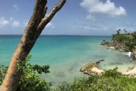 Rare A Bas Du Fort Villa 5 Chambres Vue Mer Piscine