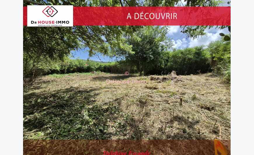Exceptionnel - Sud Martinique - Beau Terrain Plat Borne,
