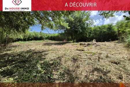 Exceptionnel - Sud Martinique - Beau Terrain Plat Borne,