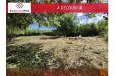 Exceptionnel - Sud Martinique - Beau Terrain Plat Borne,