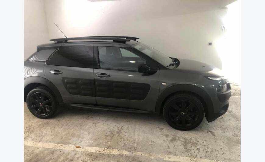 C4 cactus
