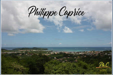 Terrain de 43 000,00 m² Le Vauclin (972)