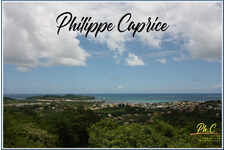 Terrain de 43 000,00 m² Le Vauclin (972)