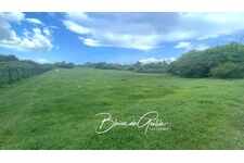 Terrain agricole Le Moule (971)