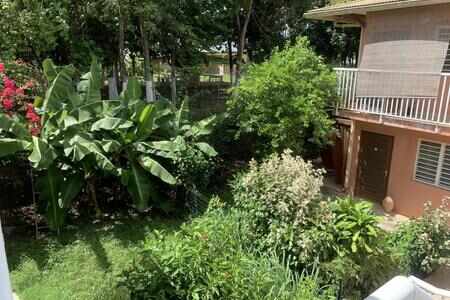 Un Jolie T2 de 35 m2