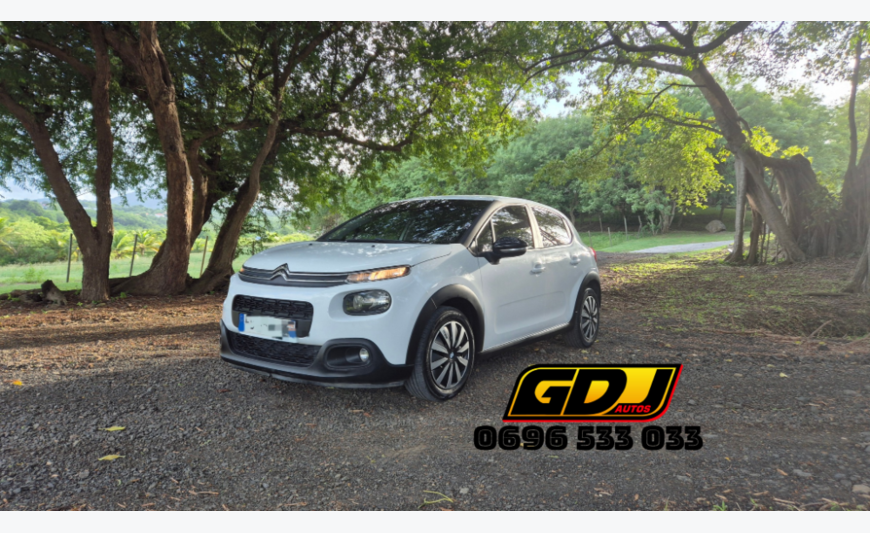 CITROËN C3 16 HDI 2 PLACES COMMERCIALE REVISE